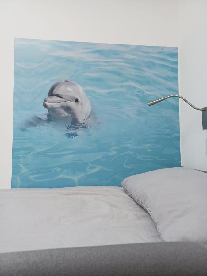 Voyage Hostel - Rooms With Shared Kitchen Douglas Eksteriør billede